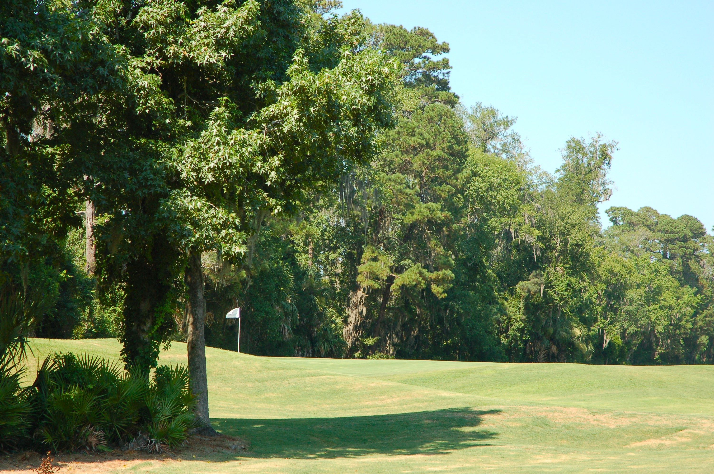 Robert Cupp Course at Palmetto Hall Plantation - golf course view, Hilton Head Island SC