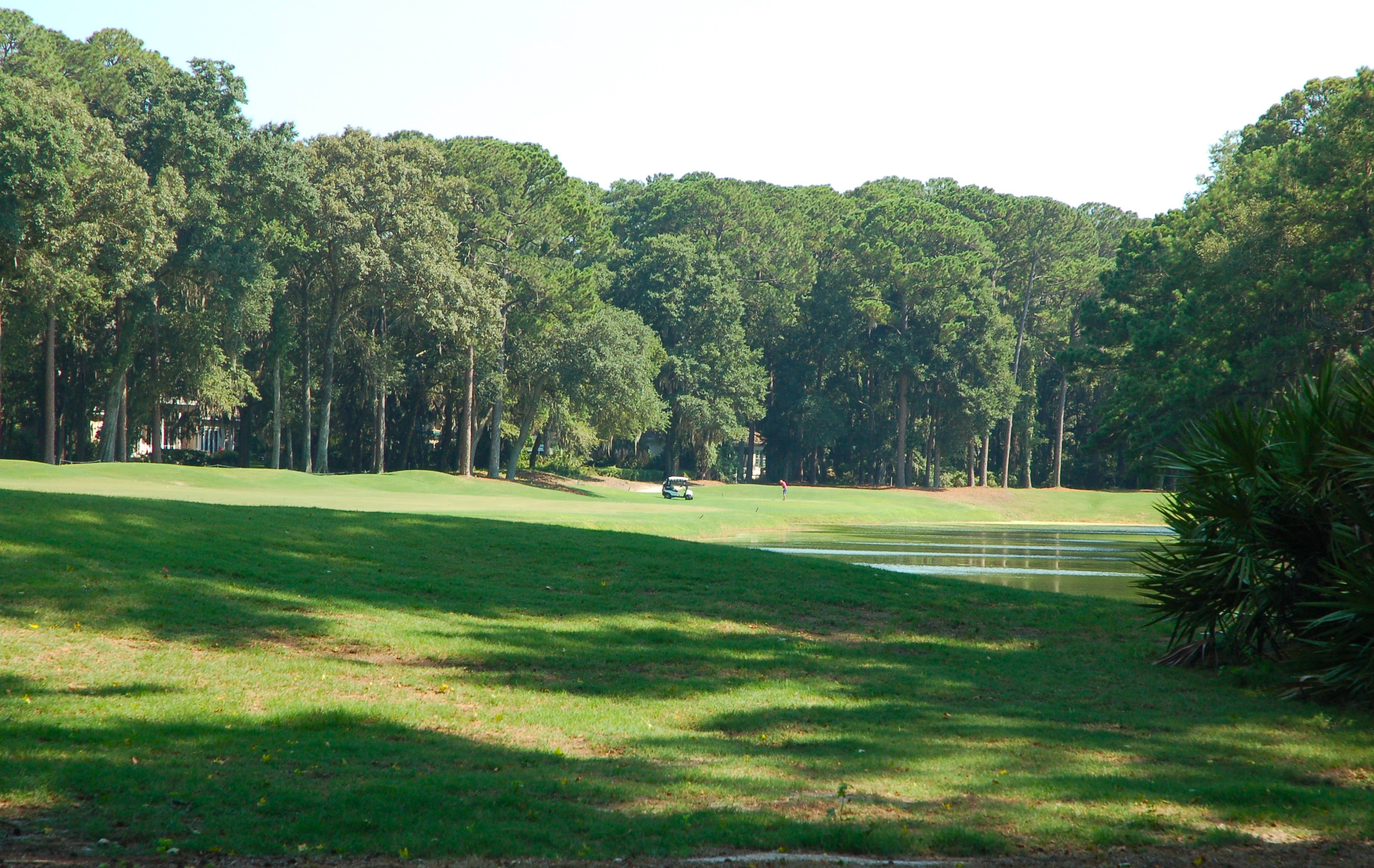 Golfer playing the fairway at Palmetto Hall Plantation, Hilton Head Island SC