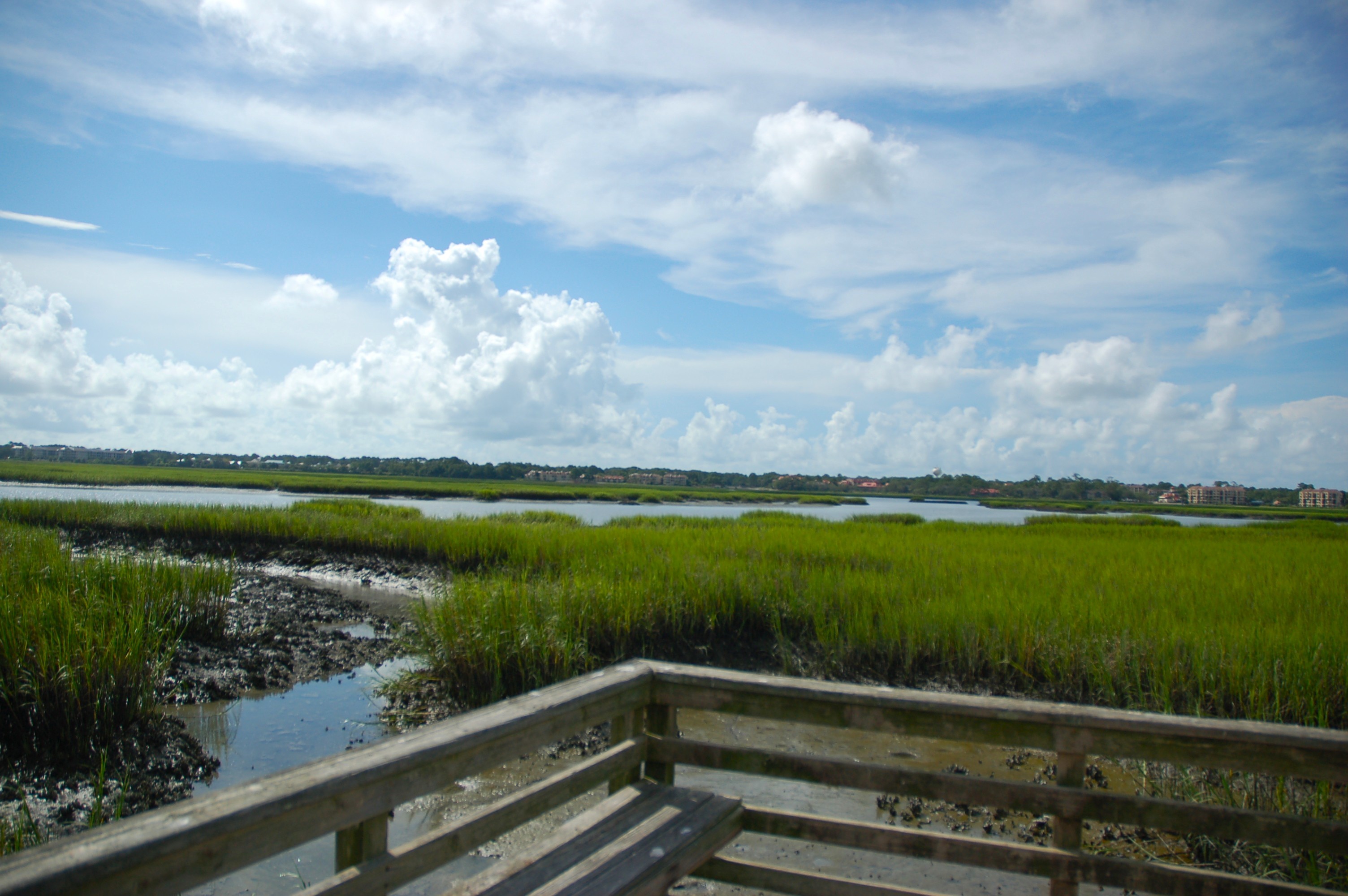 Peregrine Pointe tidal marsh community dock at low tide on Hilton Head Island