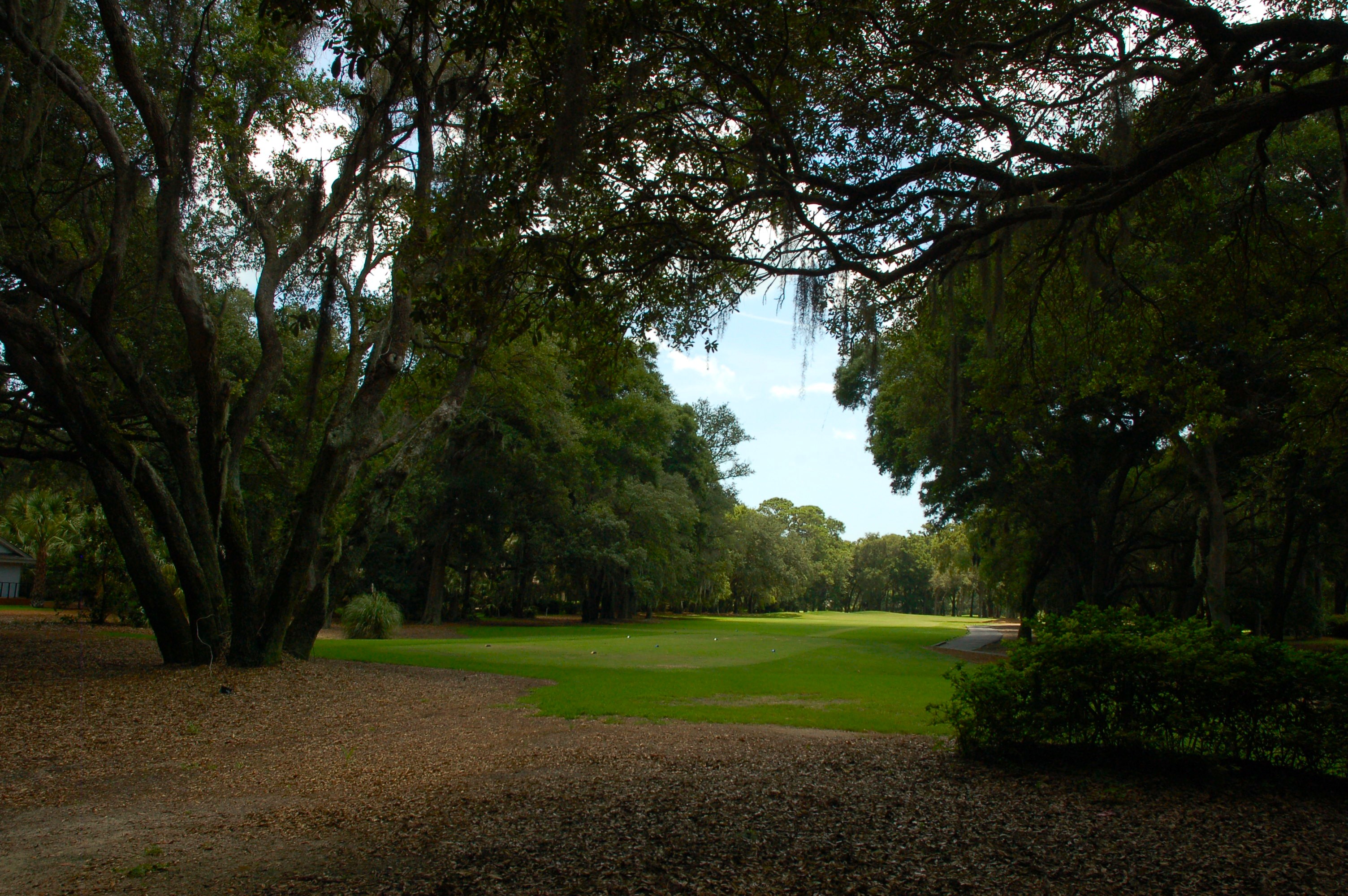 Live oaks lining the leisure trails inside Port Royal Plantation, Hilton Head Island SC