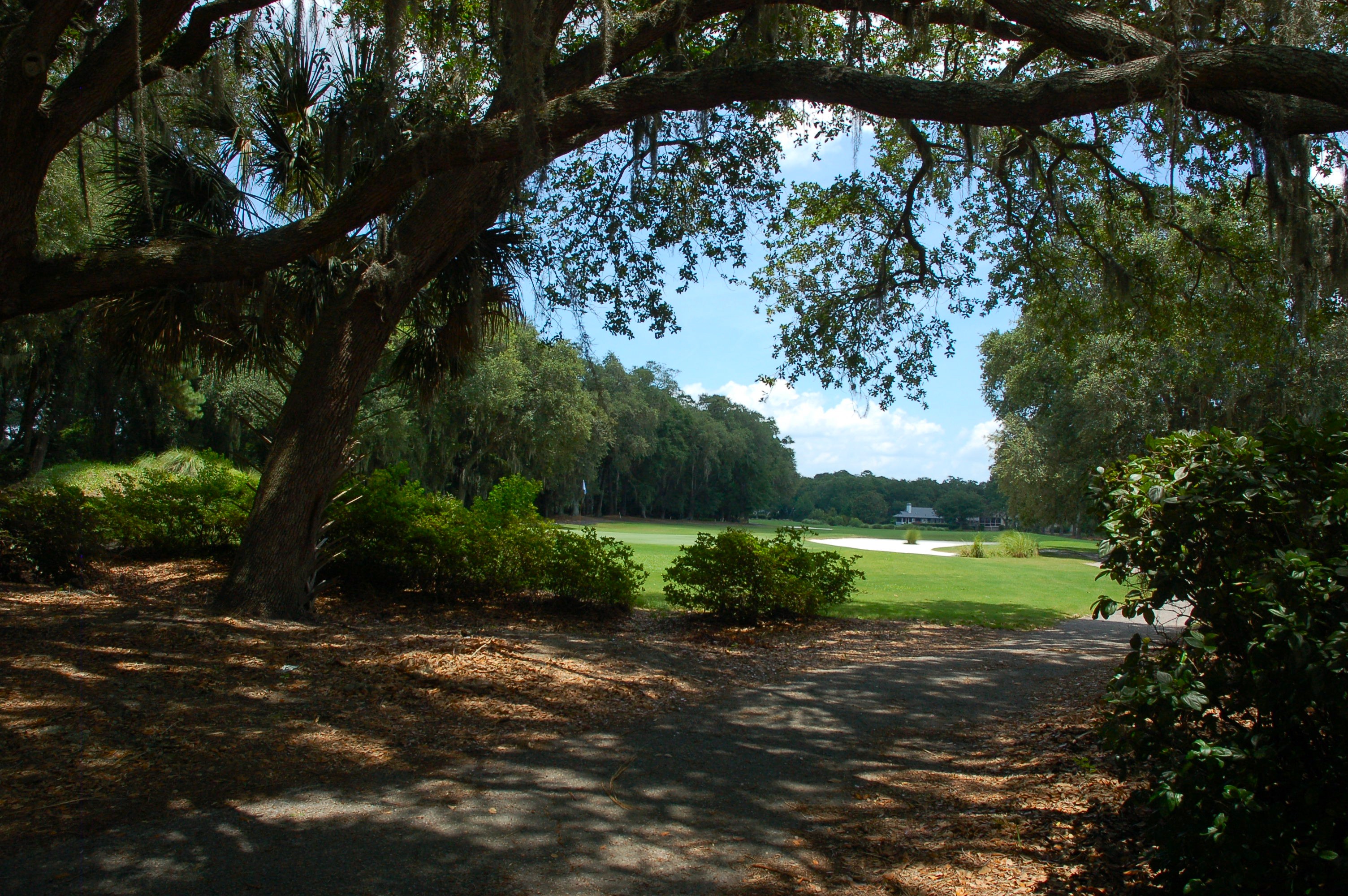 Port Royal golf course lined with live oaks draped in Spanish moss, Hilton Head Island SC