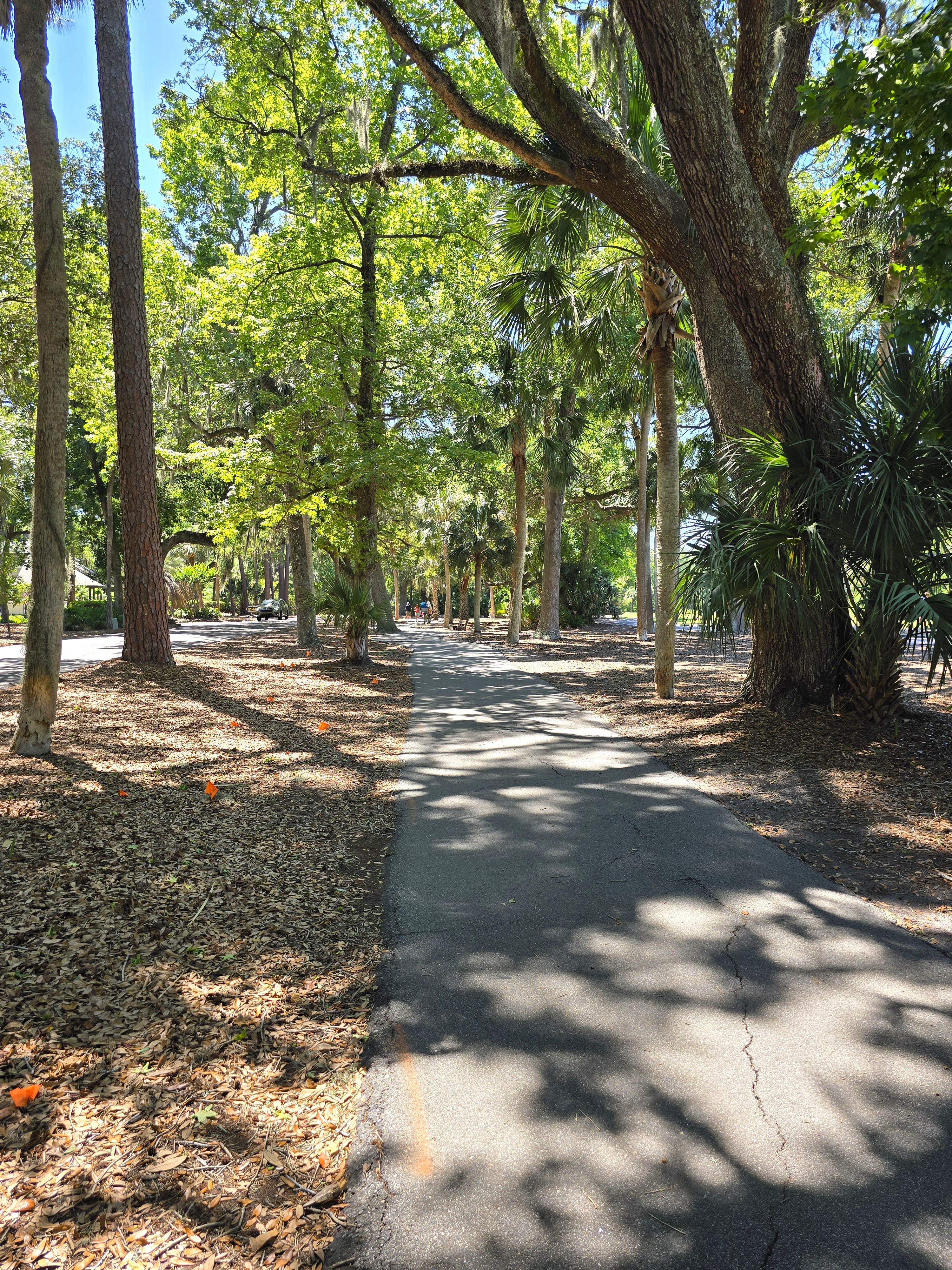 Shaded walking and biking path in Shipyard Plantation on Hilton Head Island, South Carolina