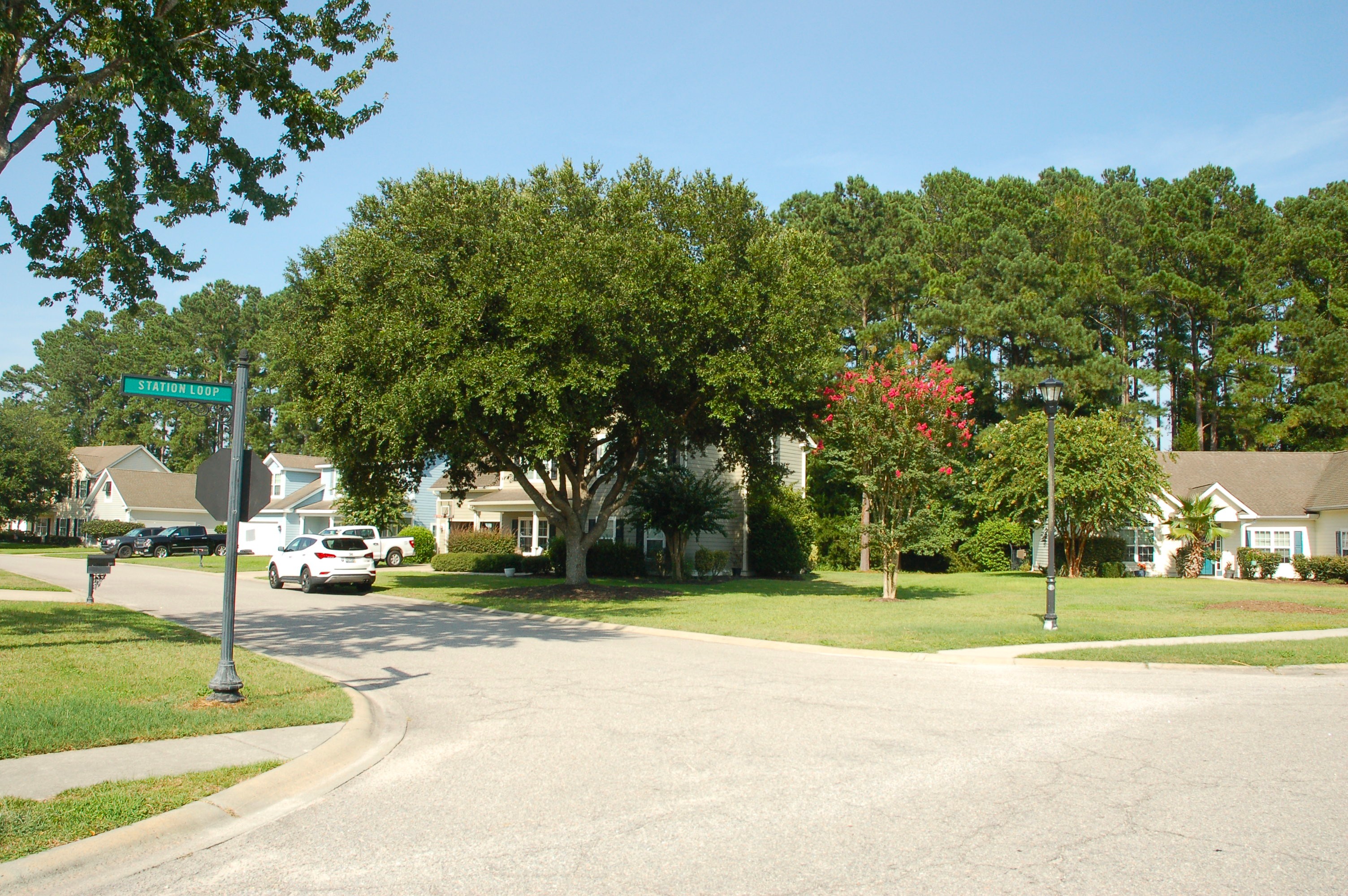 Established section of Lawton Station with mature landscaping in Bluffton, SC