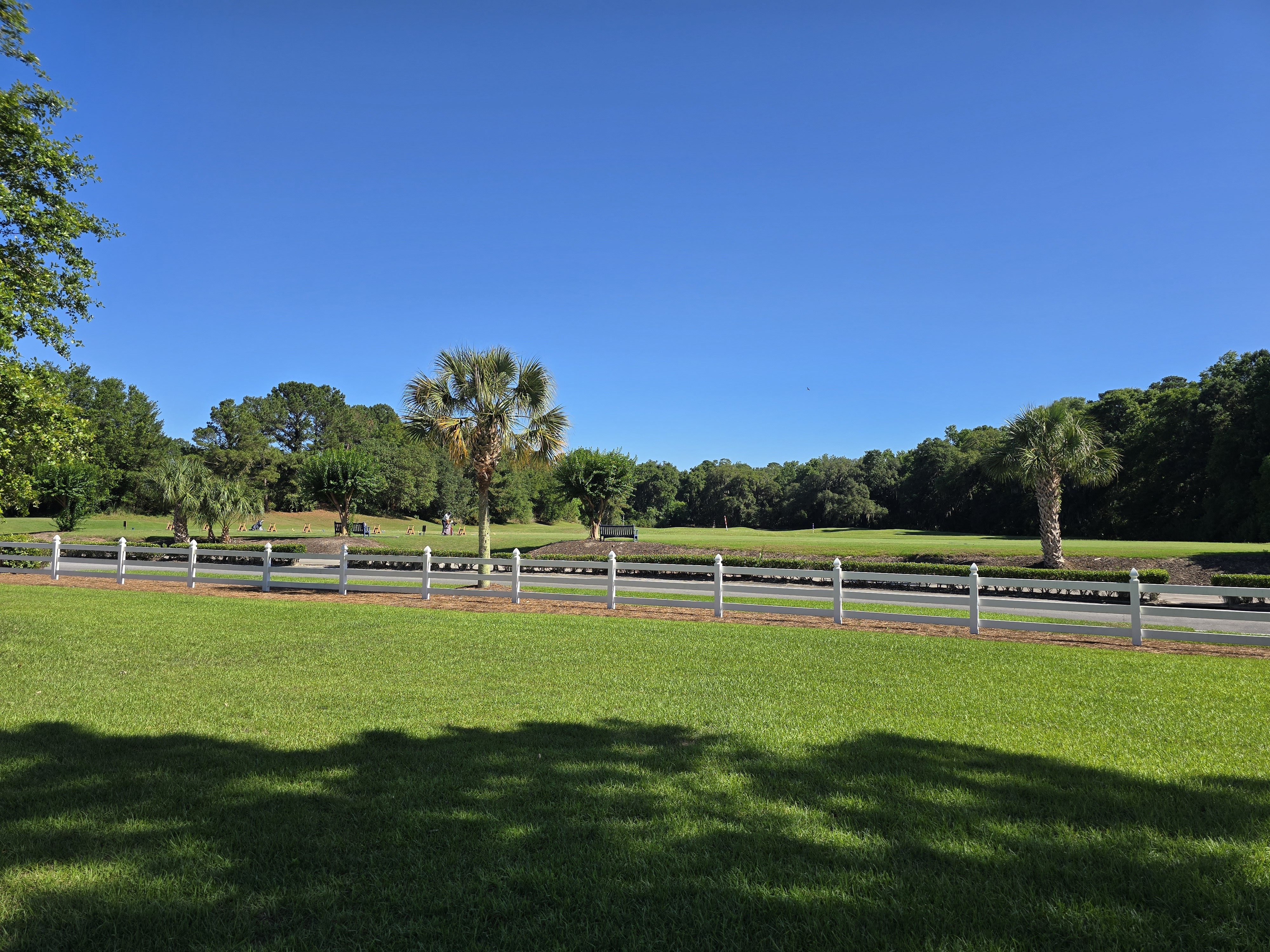The Crescent Pointe Golf Club practice range in Bluffton SC with Sabal palms, white fence, and open fairway