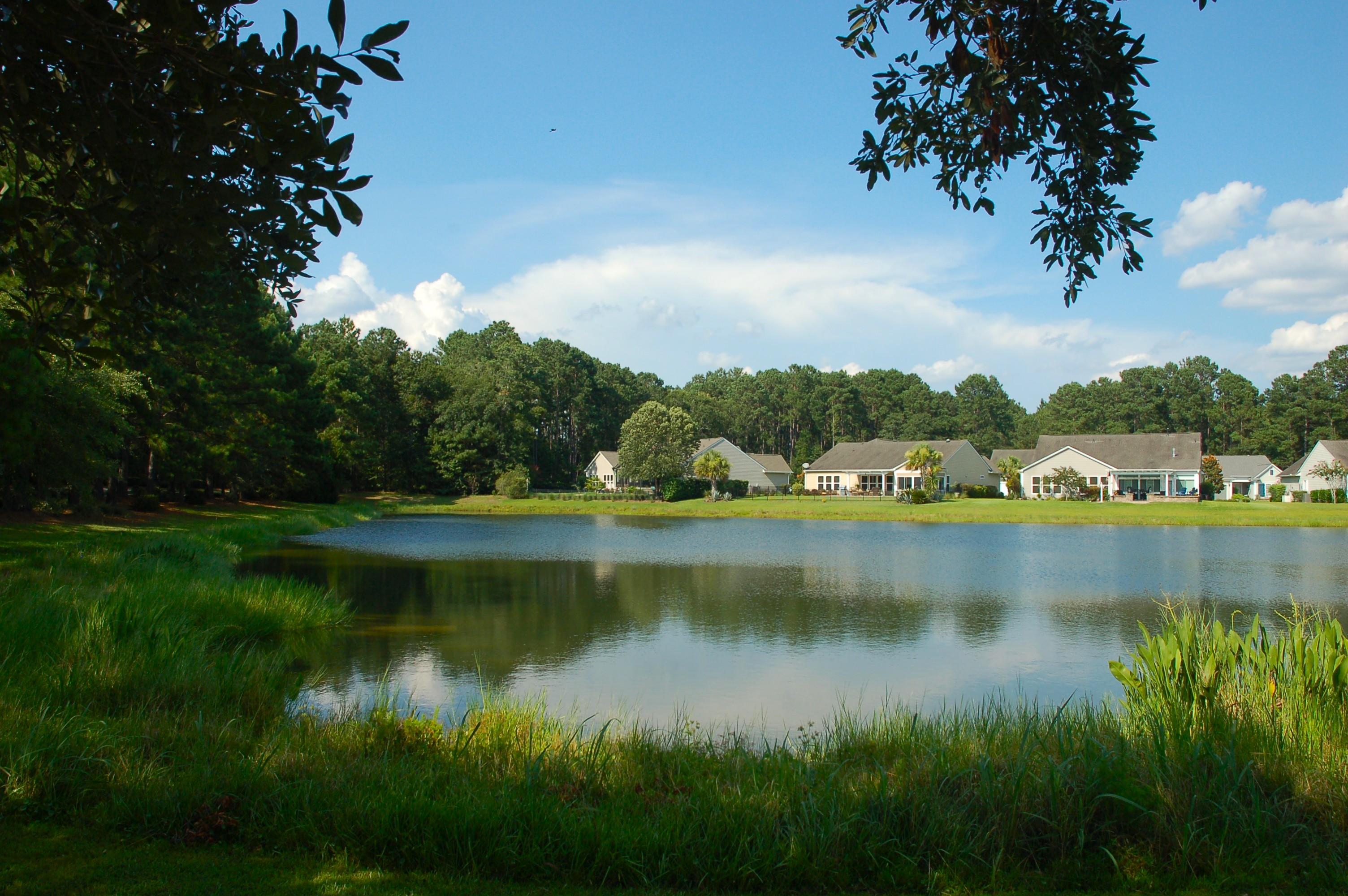 Lagoon view homesite in The Haven at New Riverside, Bluffton SC