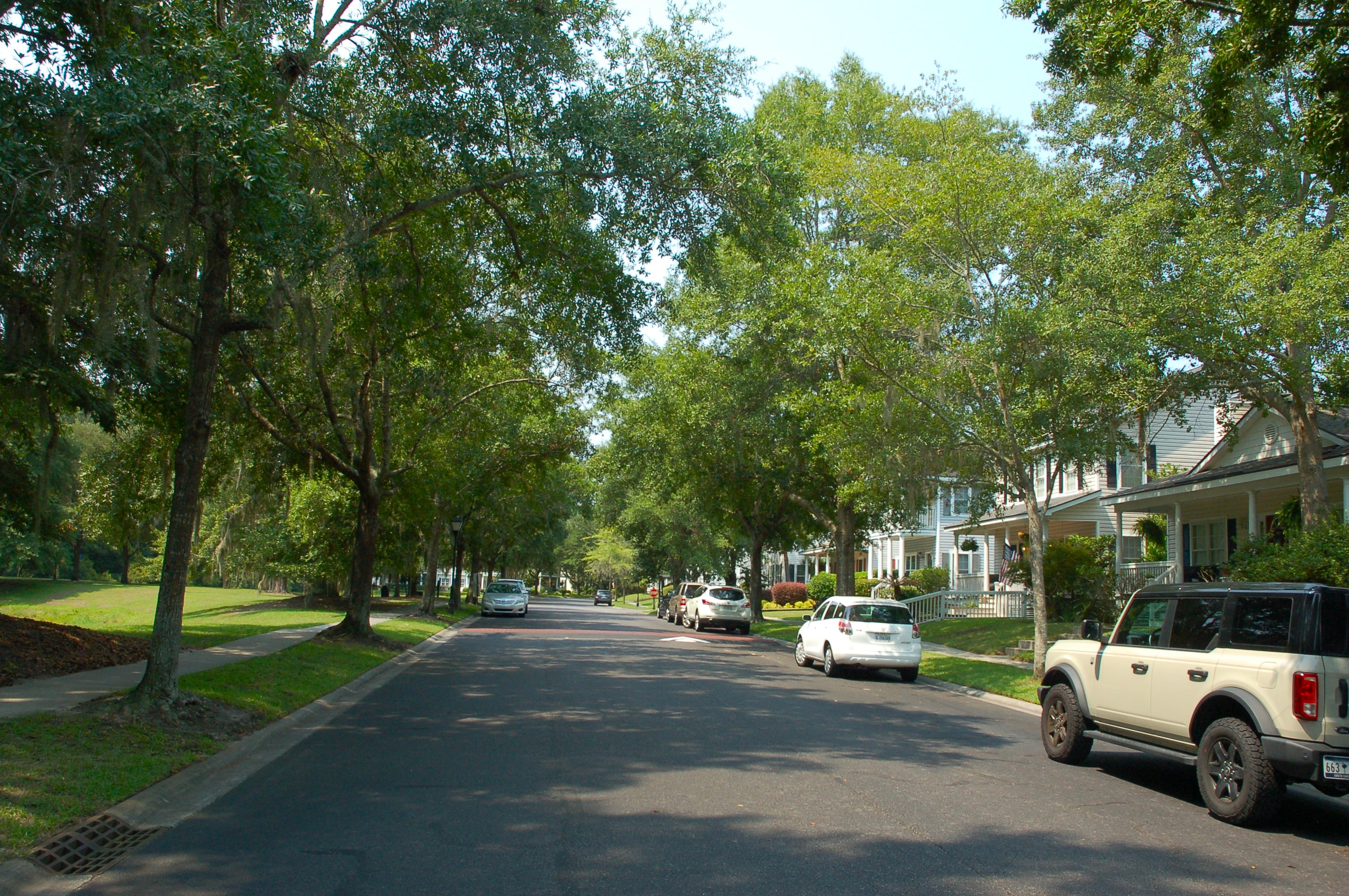 A typical tree-lined street in Westbury Park in Bluffton, SC