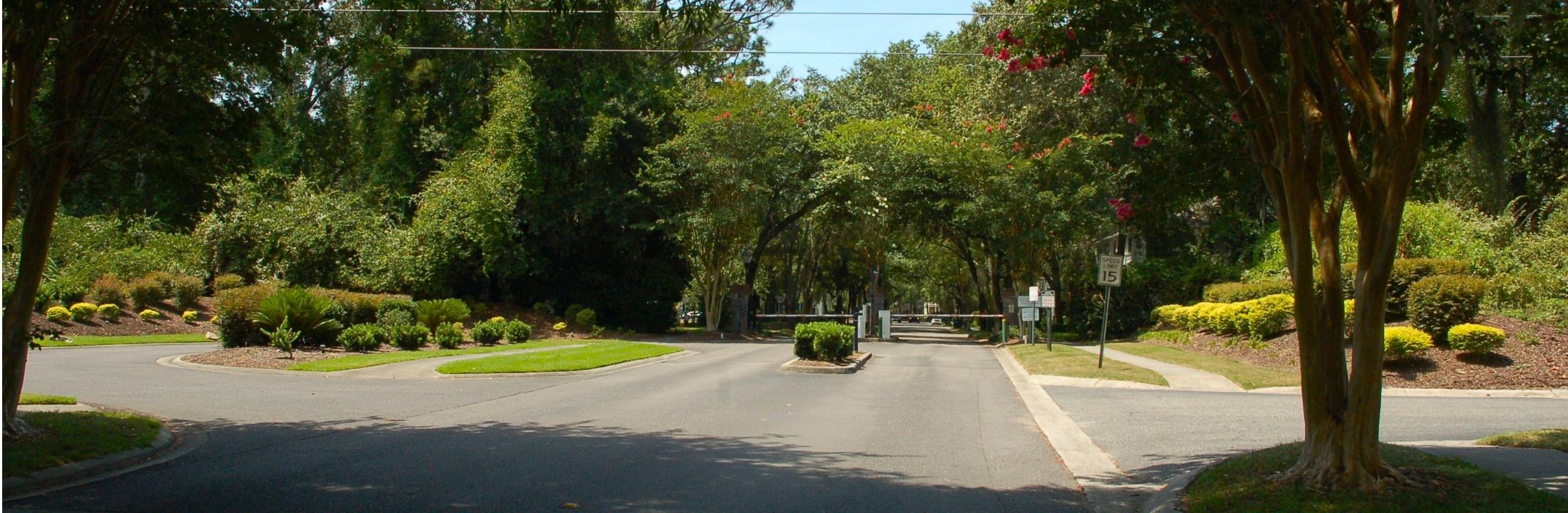 Gated entrance and town square with flowering trees and Charleston-style architecture at Westbury Park in Bluffton, SC