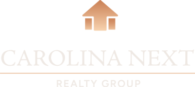 Carolina Next Group Logo