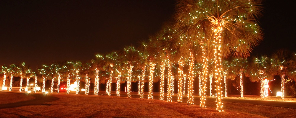 johns island christmas lights christmas lights card and johns island christmas lights christmas lights card and