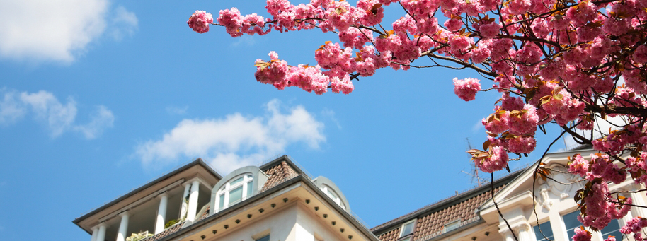 Charlotte Nc Condos And Townhouses Patio Homes For