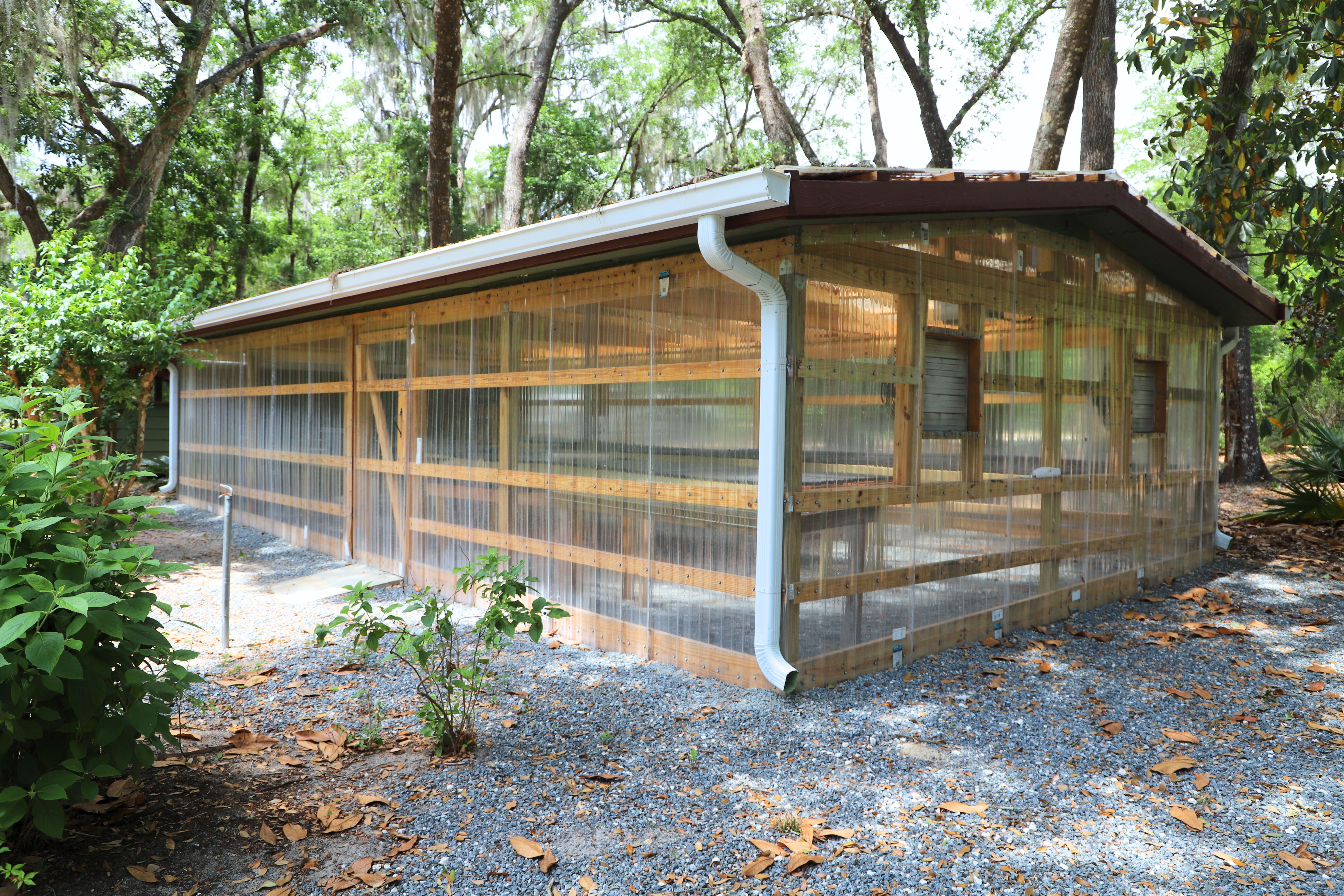 Greenhouse
