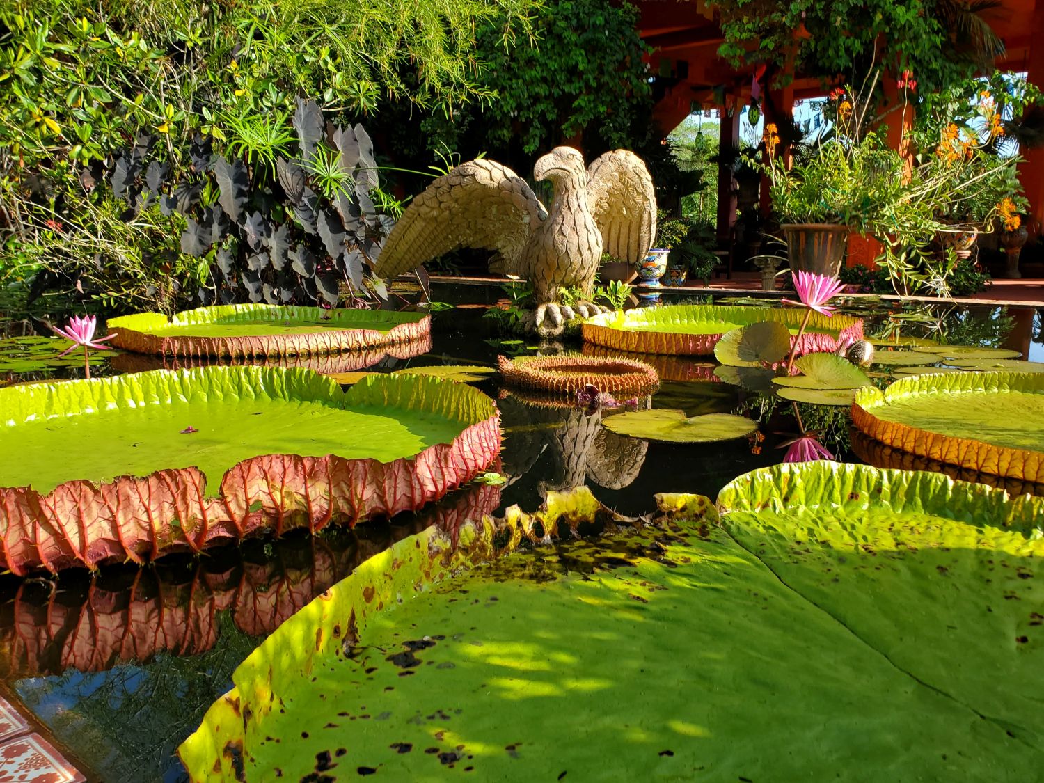 Vallarta Botanical Garden