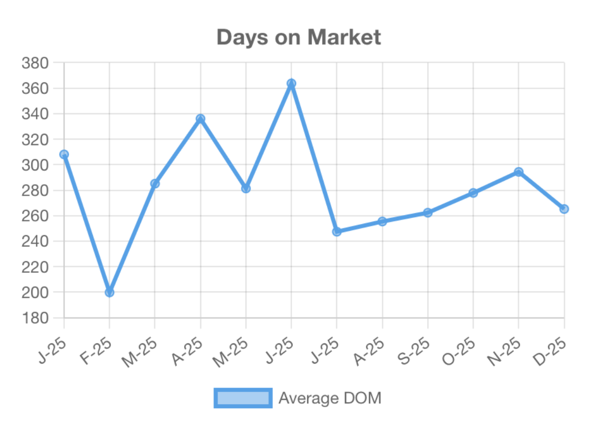 Days on market Puerto Vallarta January 2026 chart
