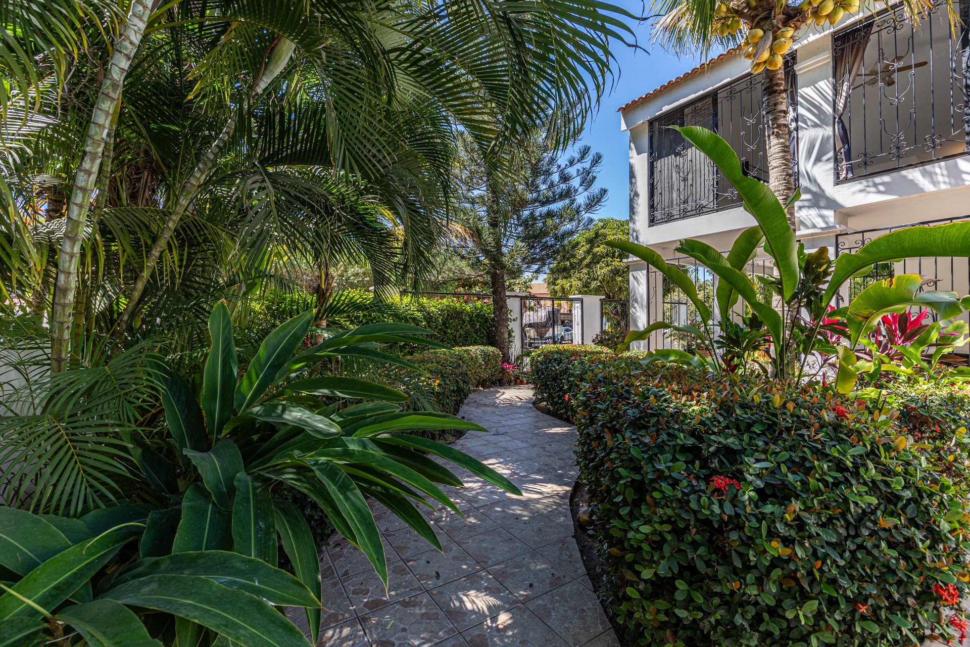 Jardín tropical junto a la casa