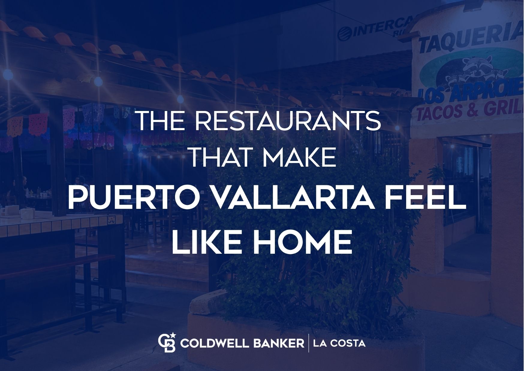Restaurants across Puerto Vallarta neighborhoods, from Marina Vallarta to Zona Romantica