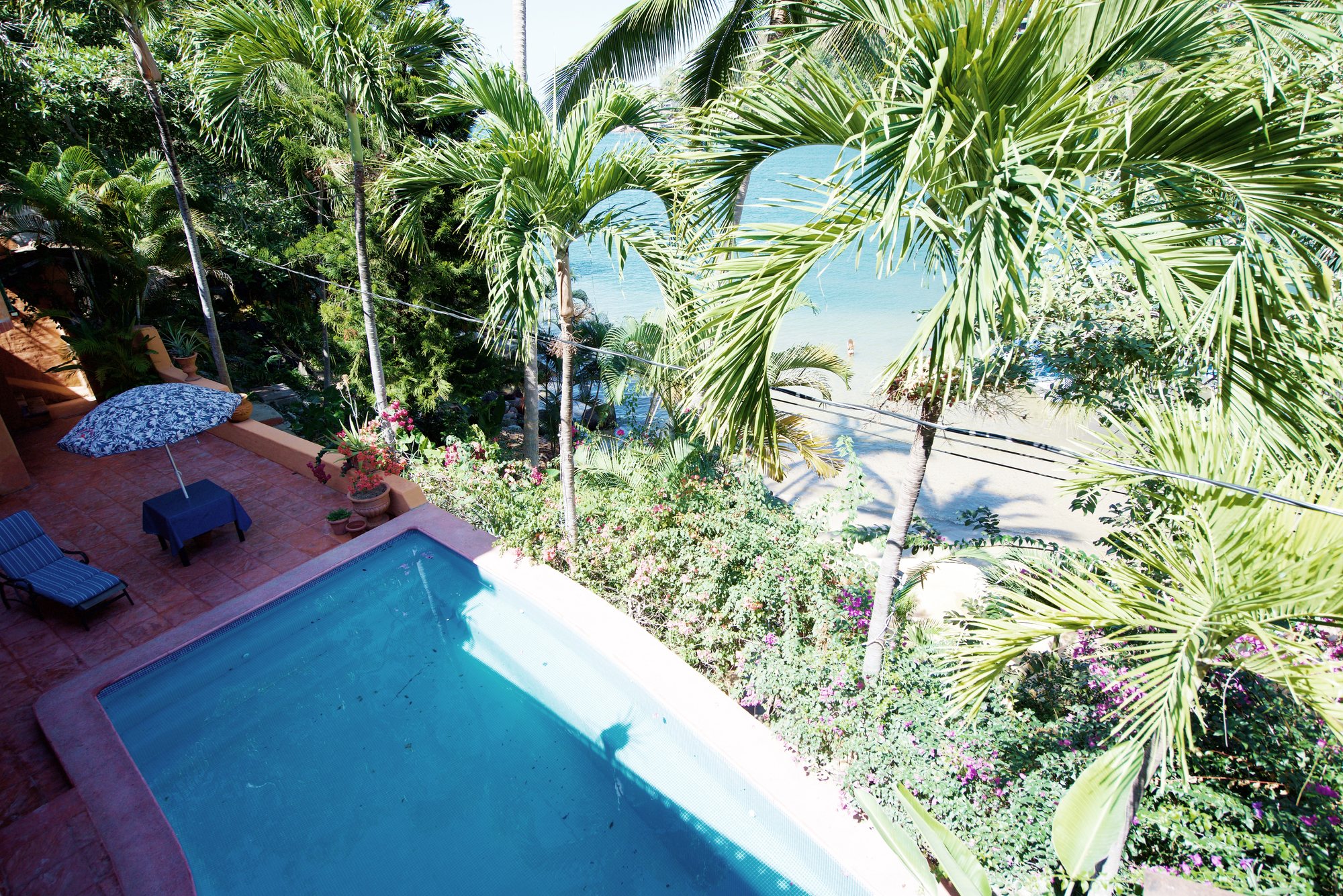 La alberca con la playa y la bahía detrás de las palmeras