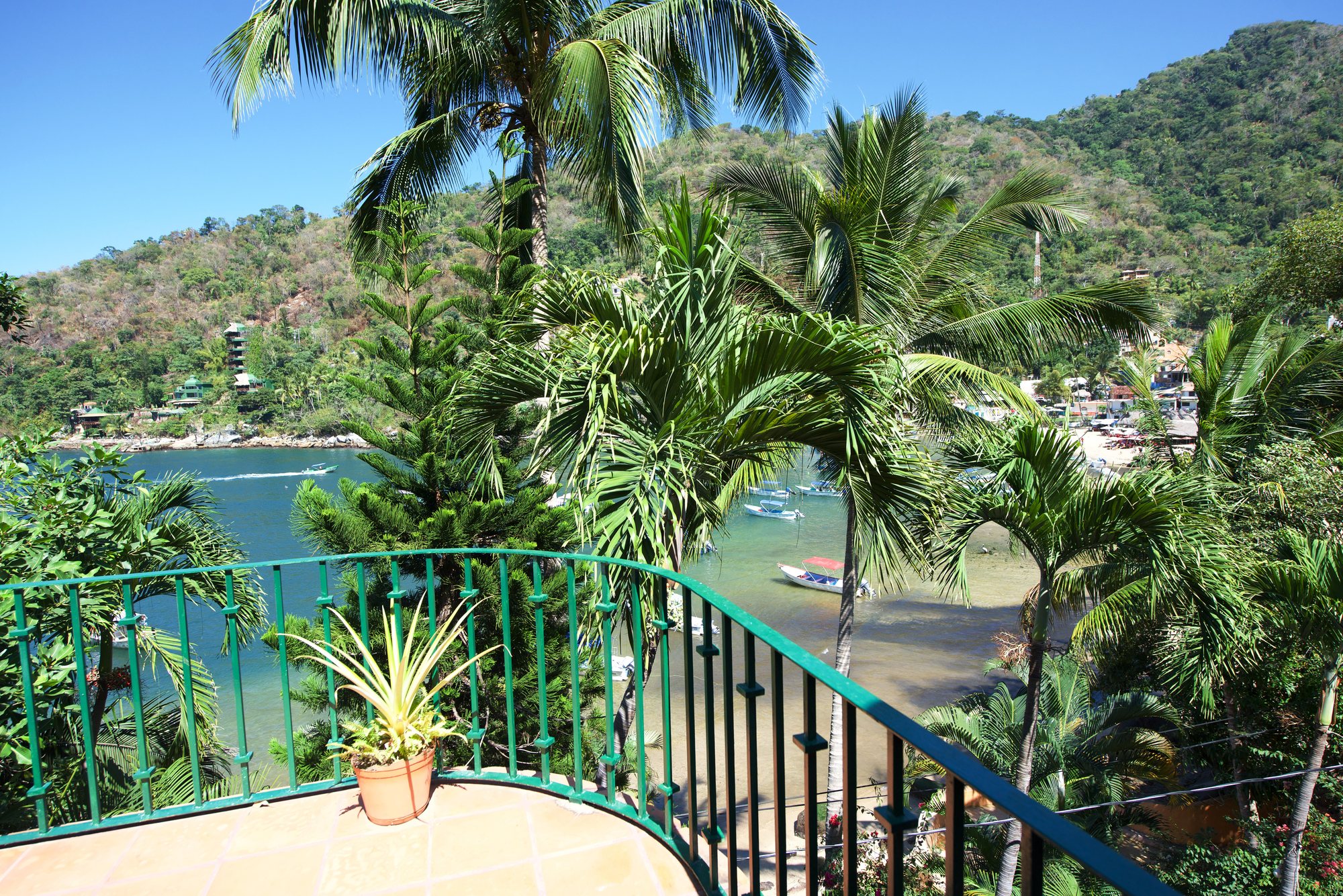 Balcón con vista a la bahía entre las palmeras