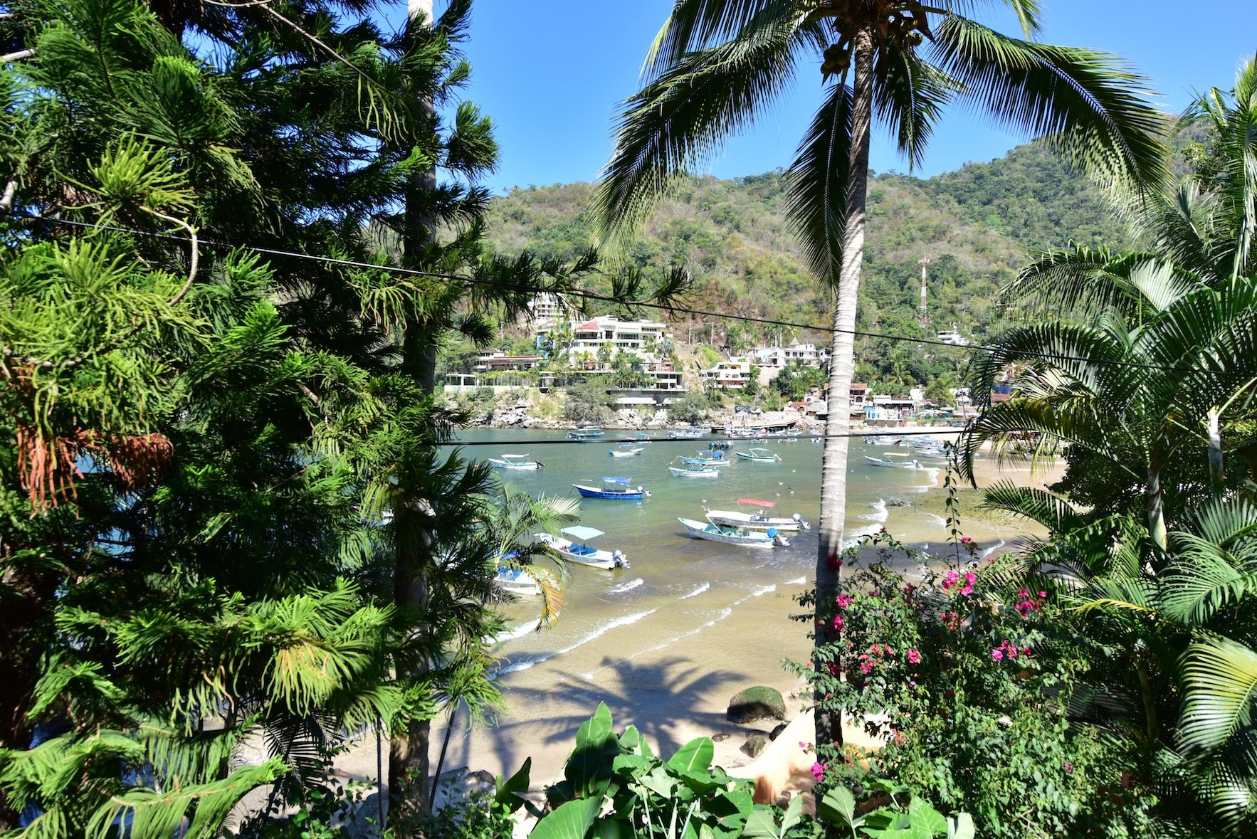 La bahía vista a través del jardín