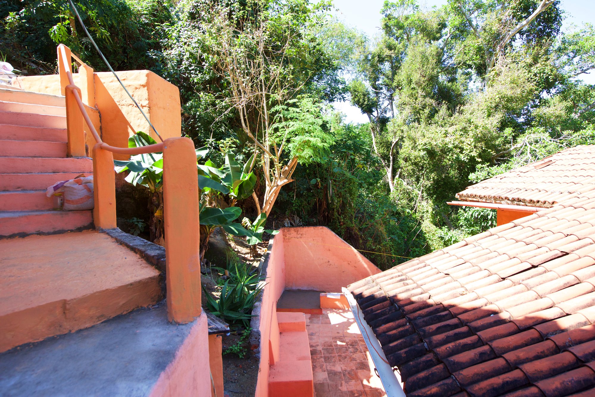 Escalera del jardín hacia la casa de huéspedes entre la selva