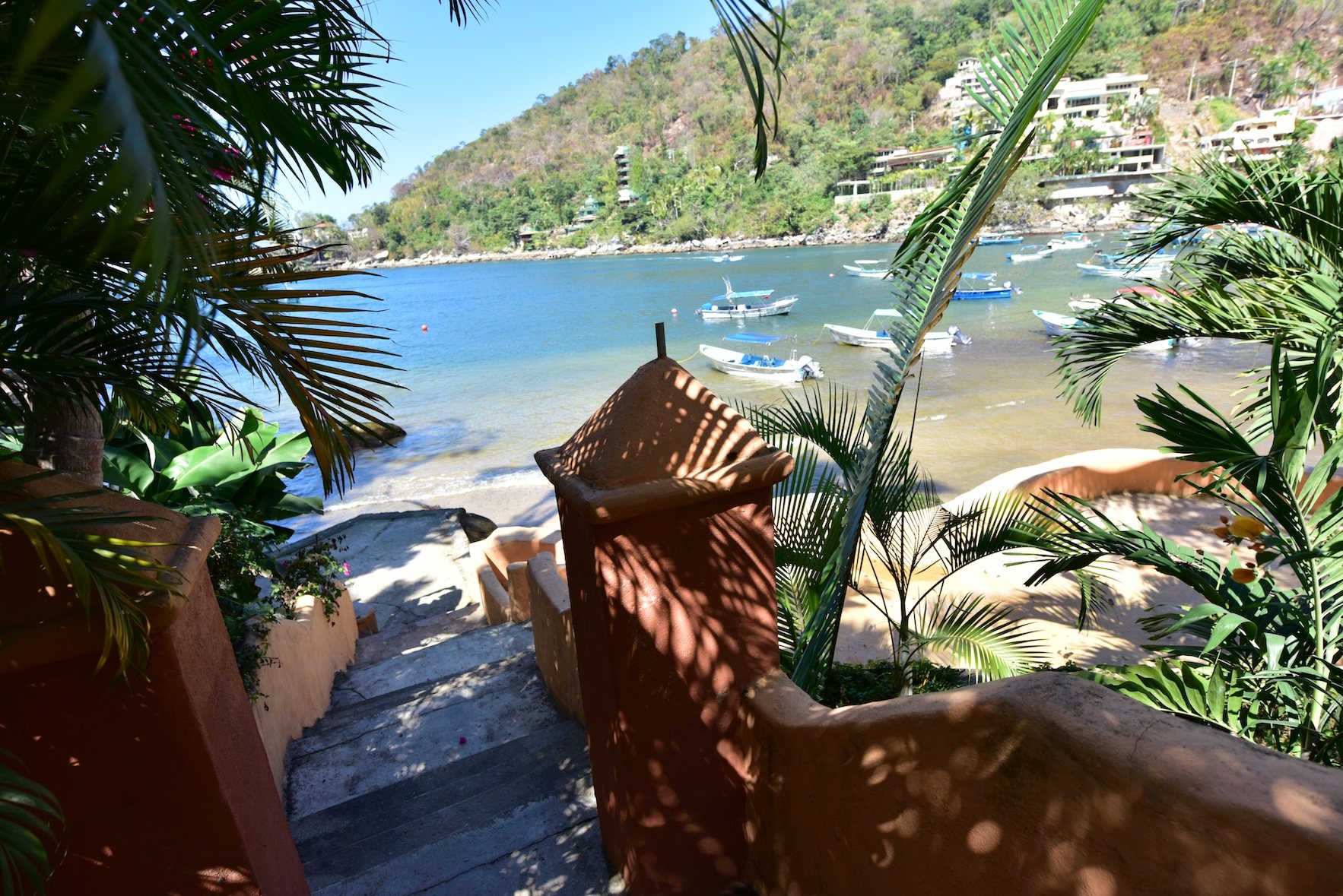 Escalones entre el jardín hacia el agua