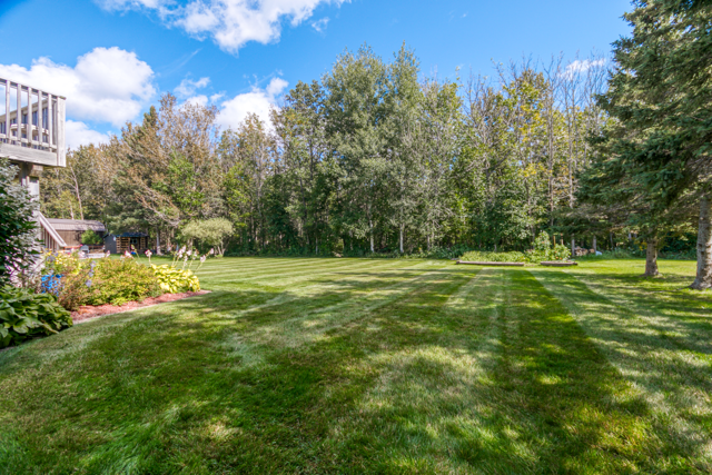Broad backyard lawn and trees at the rear of the property