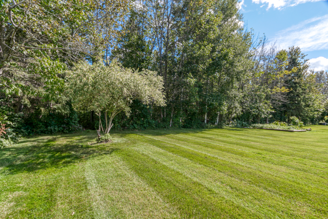 Manicured grass and mature trees along the back of the yard