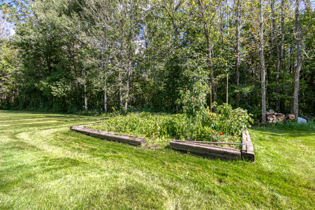 Garden beds set into the back lawn near the trees