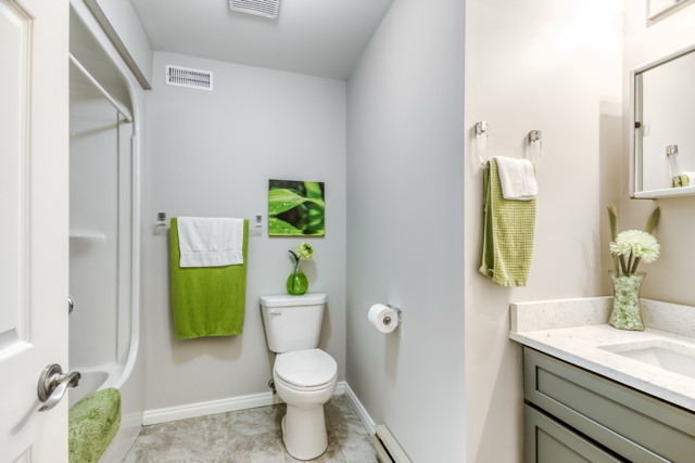 The main-floor bathroom