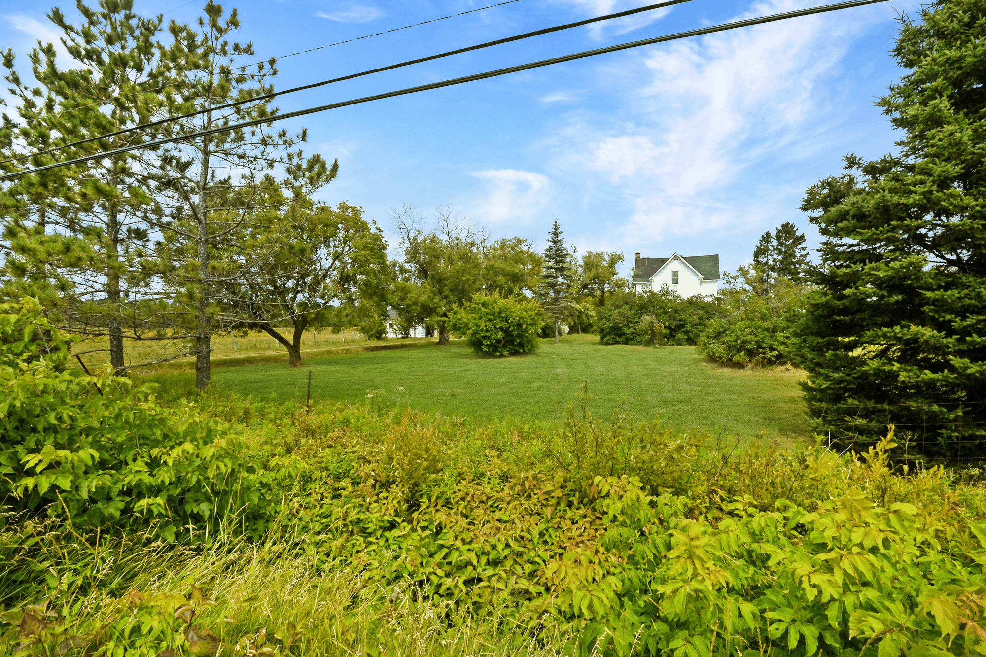 Ground-level view across open land toward the house