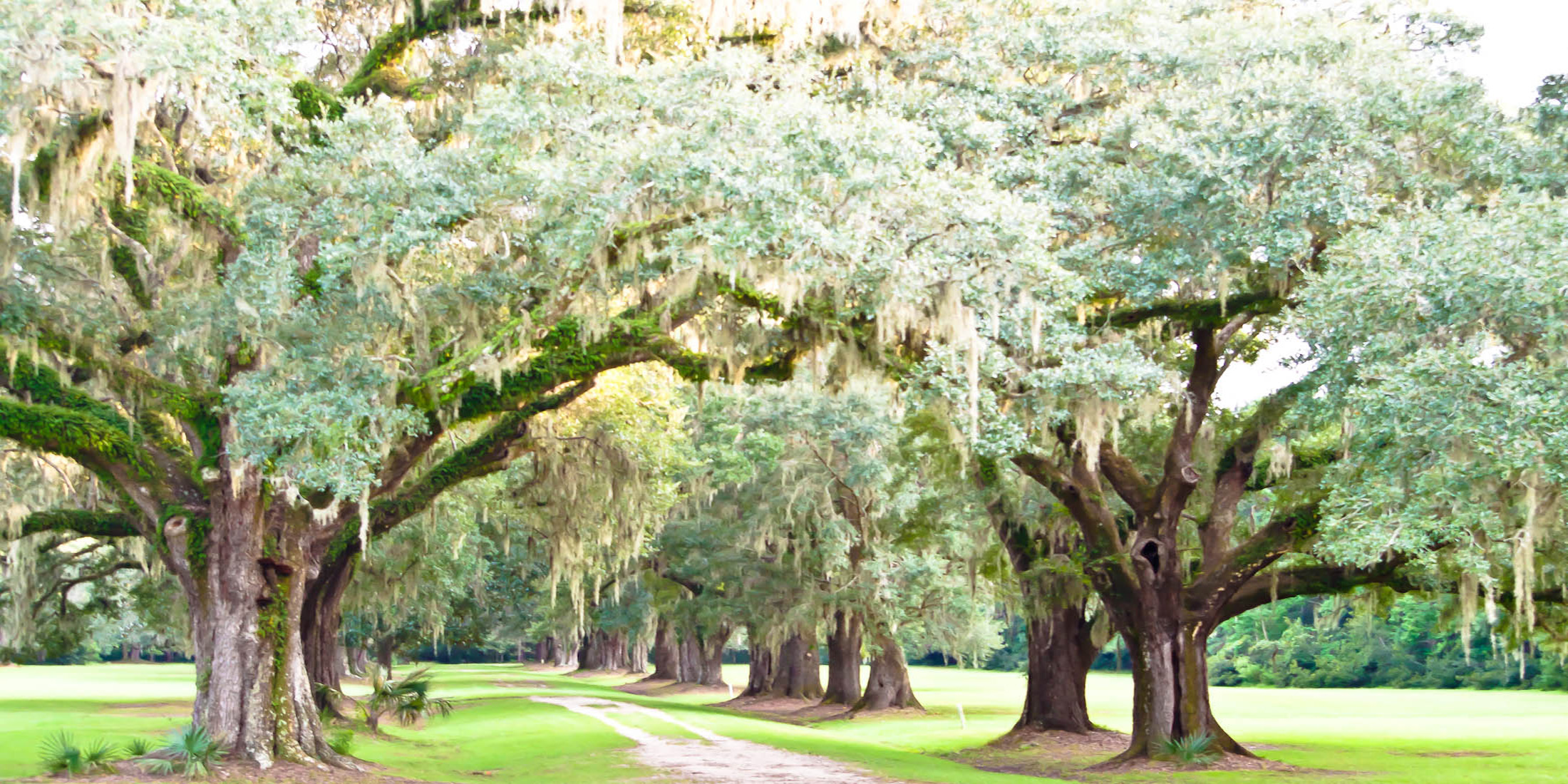 Mt Pleasant Houses For Sale SC Mt Pleasant Houses For Sale SC