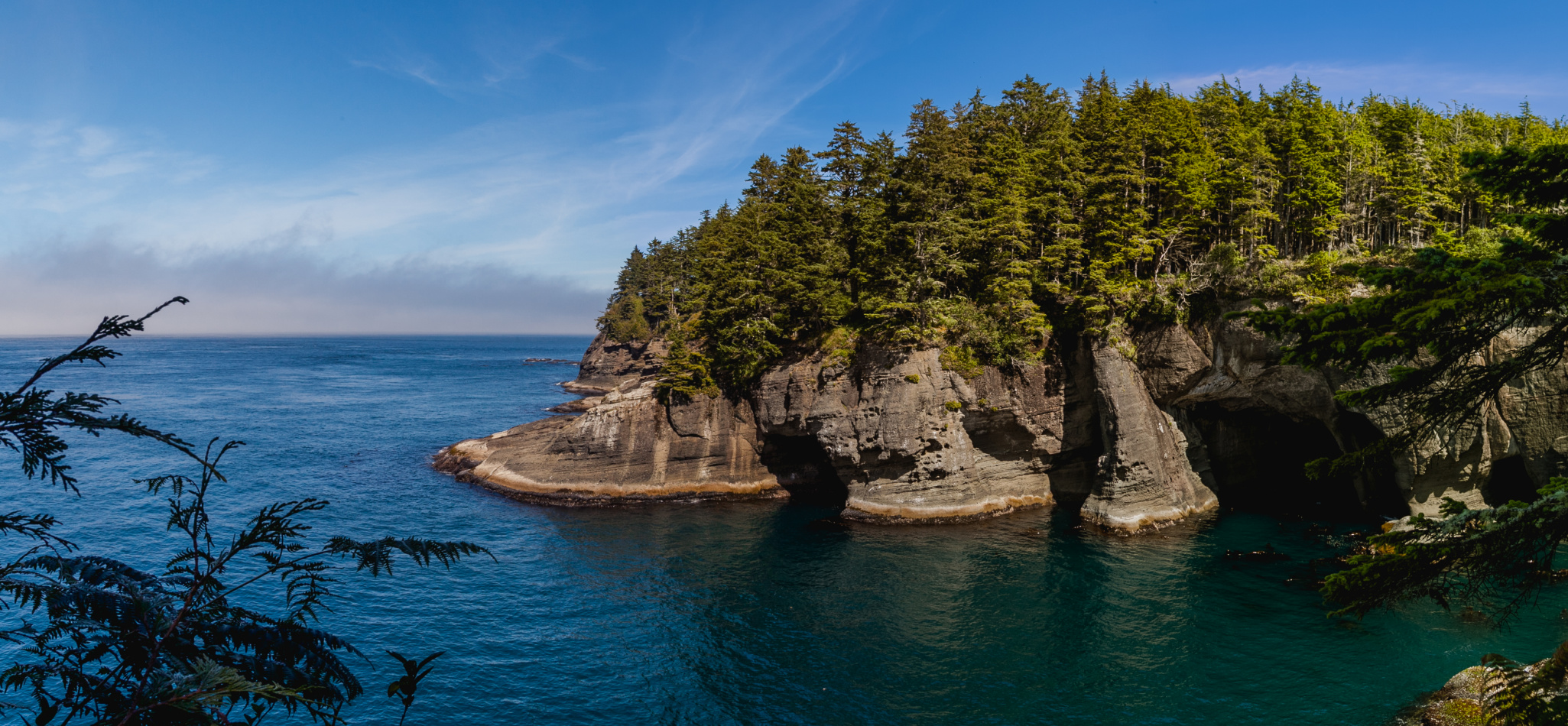 Clallam County Homes for Sale & Clallam County Homes Real Estate