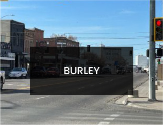 burley