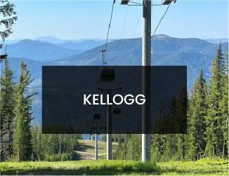 kellogg