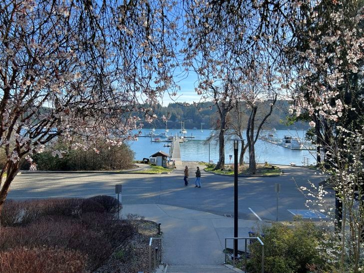 waterfront park