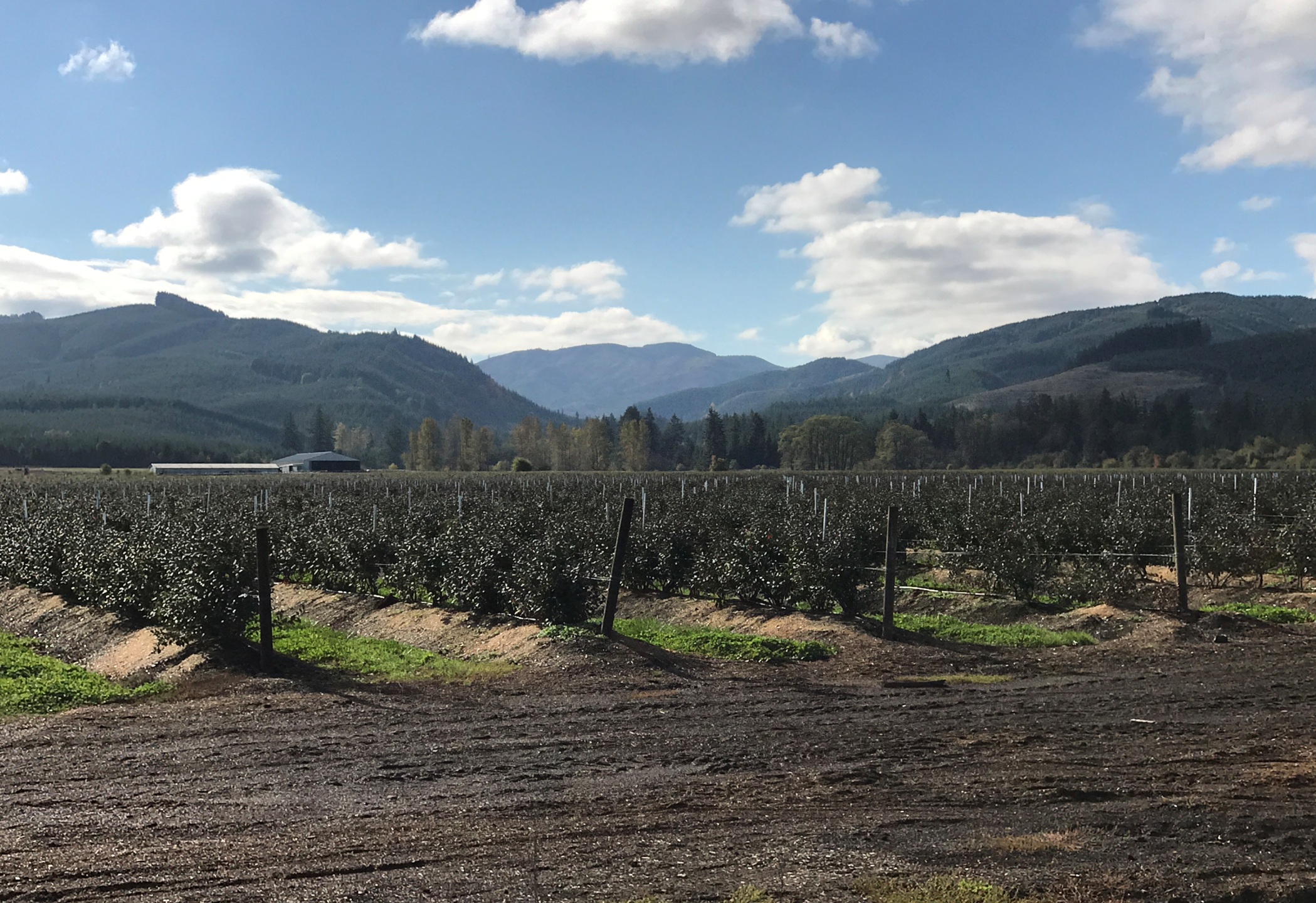 Boistfort Homes for Sale & Boistfort Real Estate. Boistfort, Washington