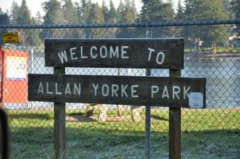 allan york park