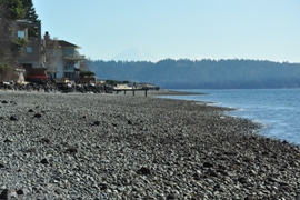 burien beach walk
