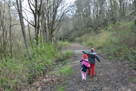 salmon creek ravine park
