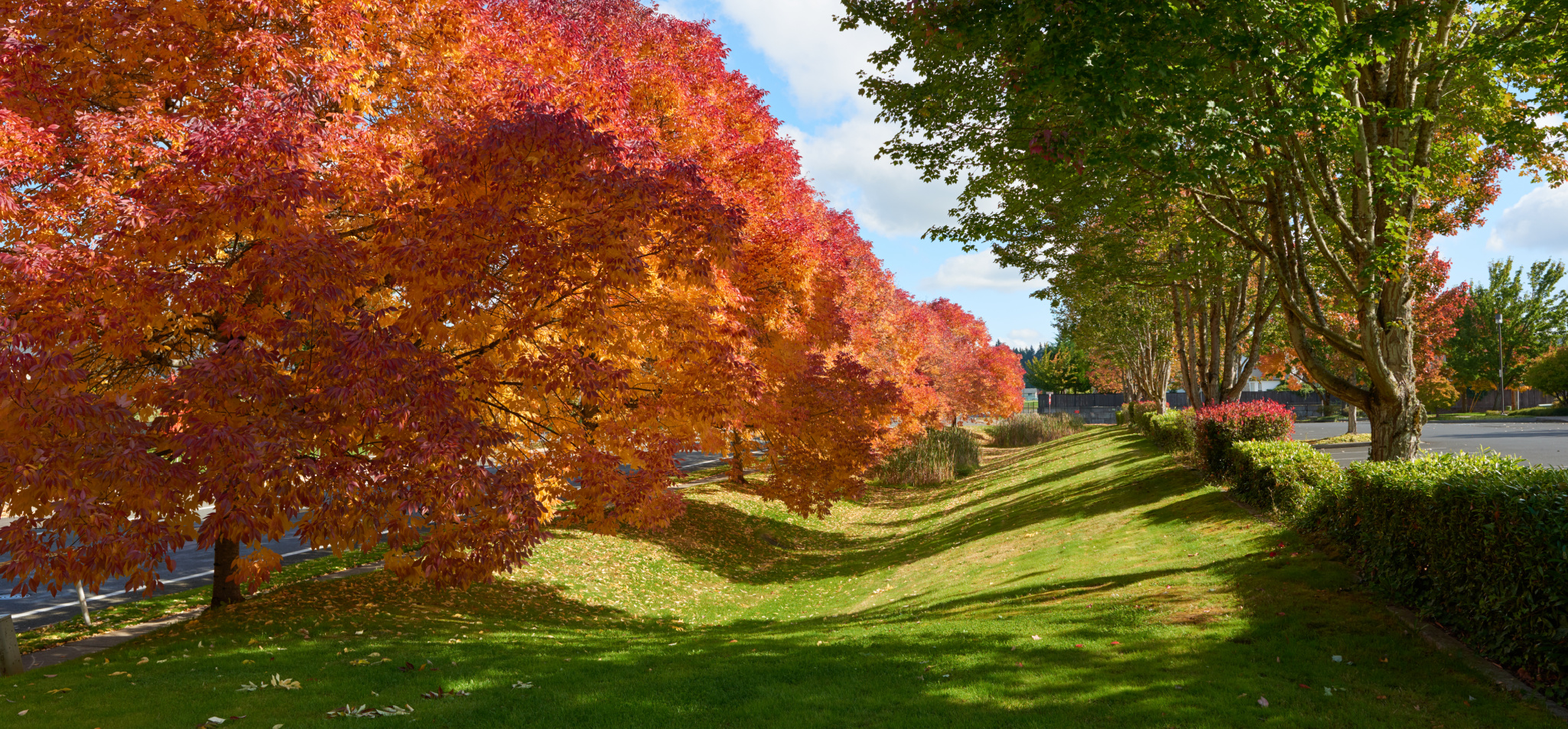 Clark County Homes For Sale & Real Estate