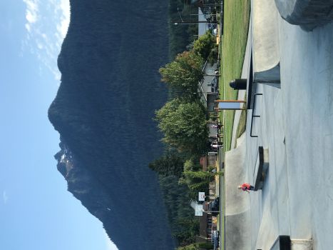darrington parks