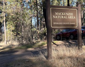 Mackenzie Conservation Area