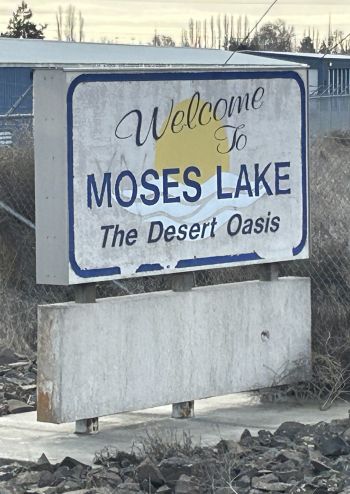 desert oasis