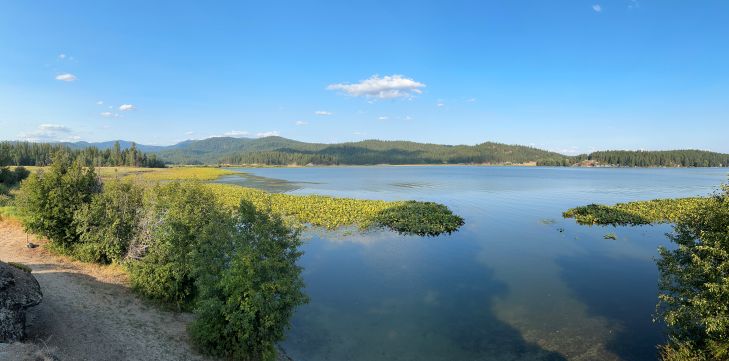 newman lake