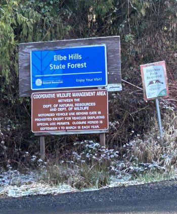 elbe state forest