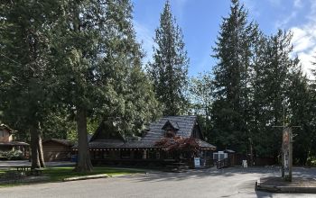 wapiti outdoors