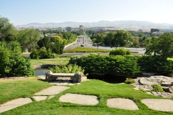 view