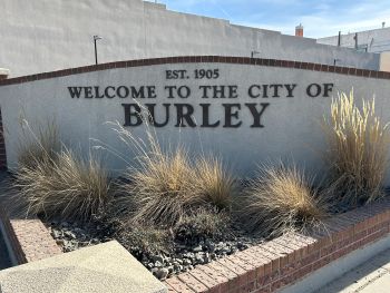 burley sign