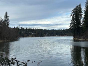 Avondale Lake