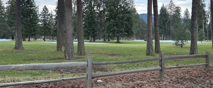 golf course