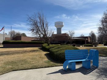 public library